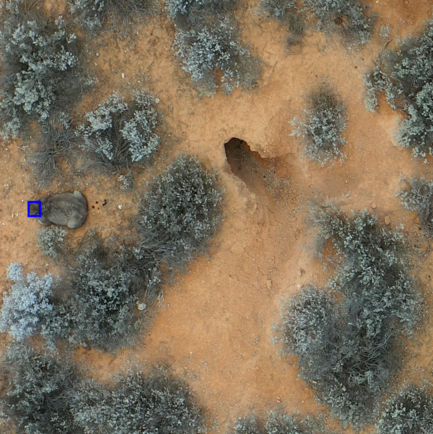 Wombat search and rescue