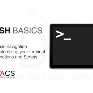 Introduction to Bash